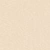 Parsnip Colour Swatch