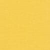 Turmeric Colour Swatch