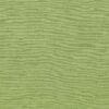 Kiwi Colour Swatch