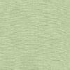 Aloe Colour Swatch