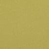 Dandelion Colour Swatch