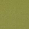 Cypress Colour Swatch