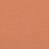 Papaya Colour Swatch