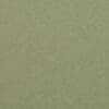 Chicory Colour Swatch