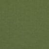 Matcha Colour Swatch