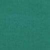 Amazon Colour Swatch