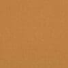 Day-lily Colour Swatch