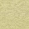 Pistachio Colour Swatch