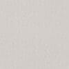 Silver Colour Swatch