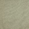 Spruce Colour Swatch
