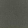 Thunder Colour Swatch