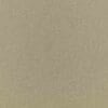 Caper Colour Swatch