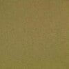Matcha Colour Swatch