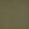 Fern Colour Swatch