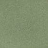 Fern Colour Swatch