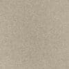 Umber Colour Swatch