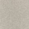 Ash Colour Swatch