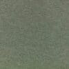 Spinach Colour Swatch