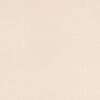 Silver-birch Colour Swatch