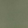 Spinach Colour Swatch