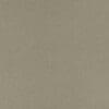 Caper Colour Swatch