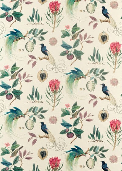 Sanderson Glasshouse Paradesia Fabric