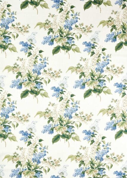 Sanderson Highgrove Delphinium