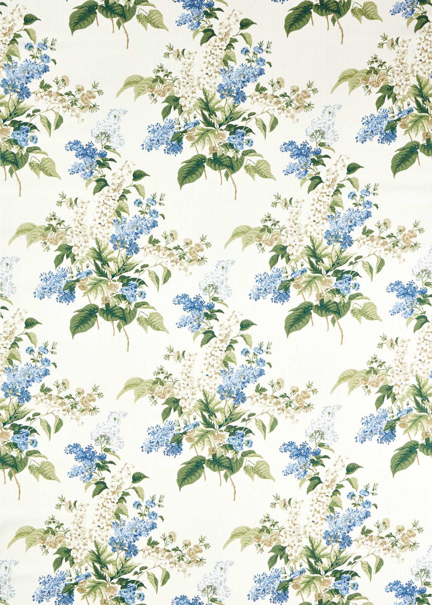 Sanderson Highgrove Delphinium 