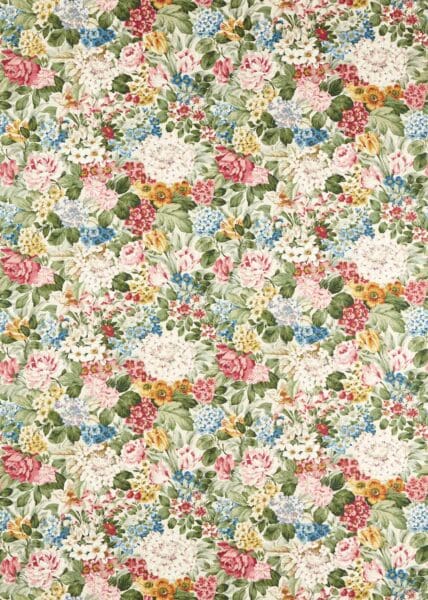 Sanderson Highgrove Hydrangea