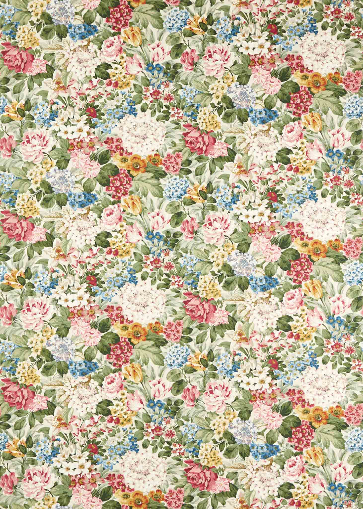 Sanderson Highgrove Hydrangea 