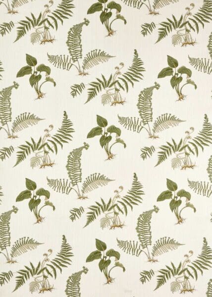 Sanderson Highgrove Hosta