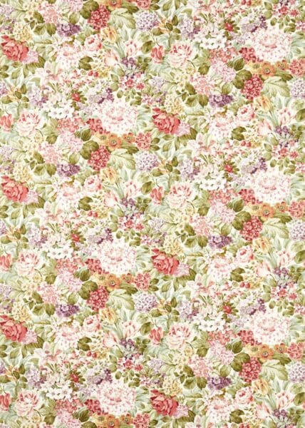 Sanderson Highgrove Hydrangea