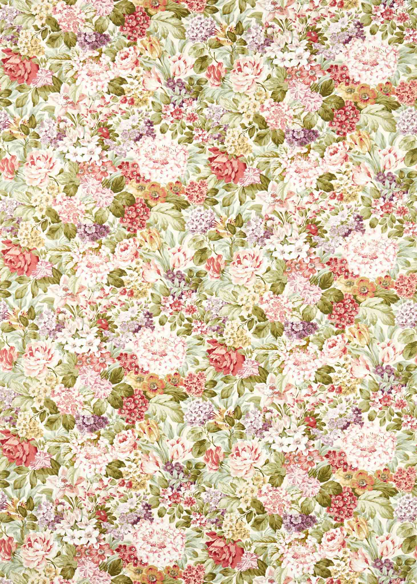 Sanderson Highgrove Hydrangea 