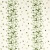 Silver-green Colour Swatch