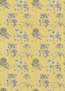 Sanderson One Sixty Etchings