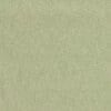 Leaf-green Colour Swatch