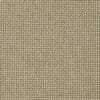 Olive Colour Swatch