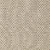 Raw-chocolate Colour Swatch