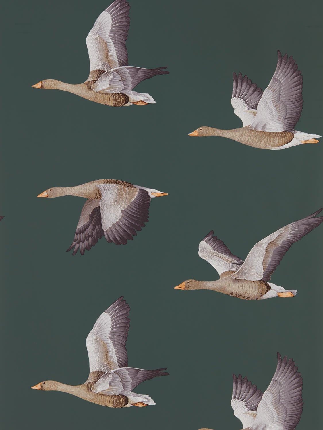 Sanderson Arboretum Elysian Geese Wallpaper