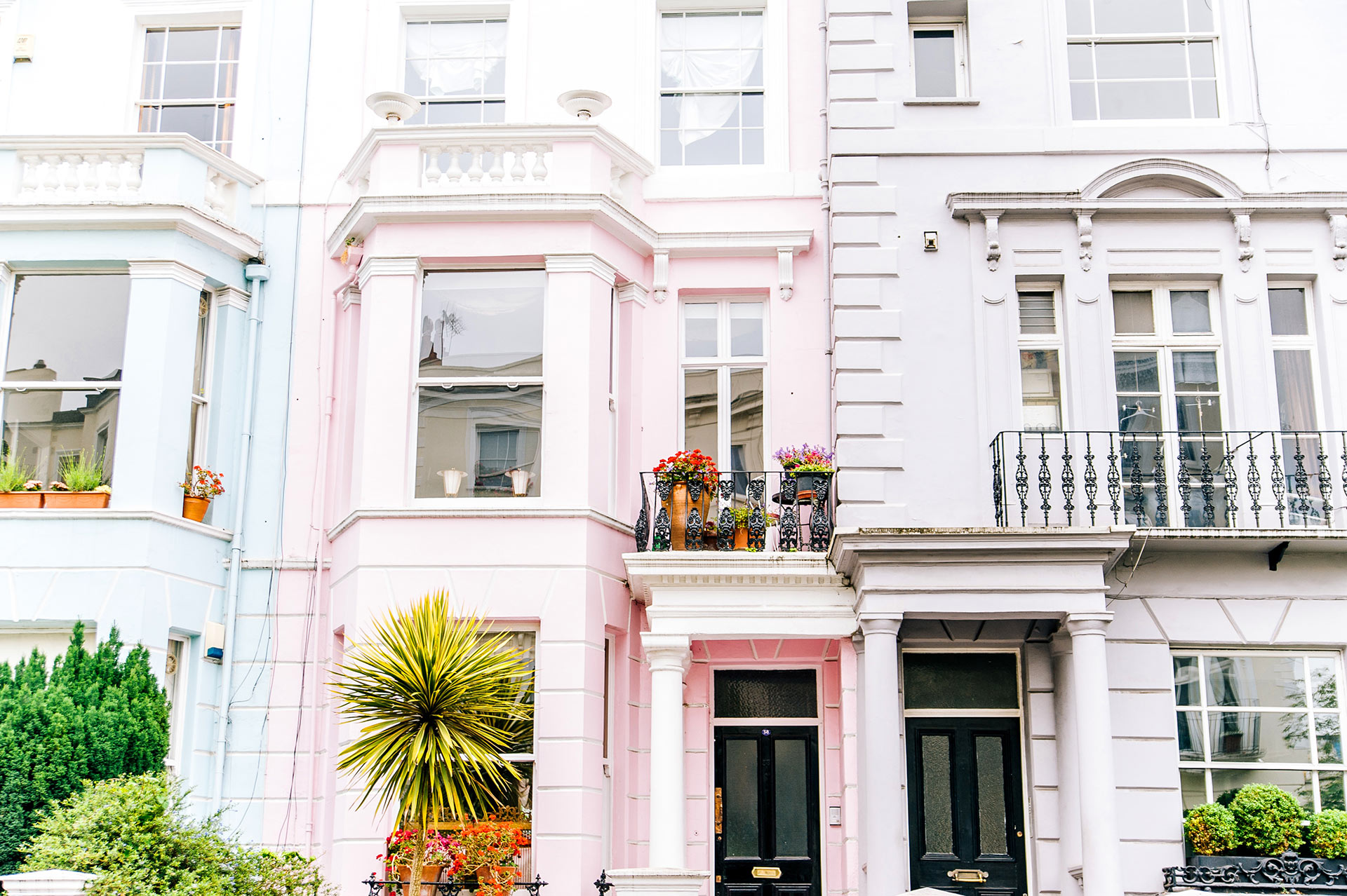 Adding greenery to your front entrance