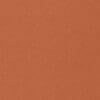 Rust Colour Swatch