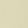 Parsnip Colour Swatch