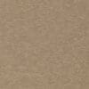 Tawny Colour Swatch
