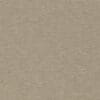 Taupe Colour Swatch