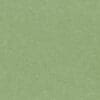 Aloe Colour Swatch
