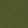 Fern Colour Swatch