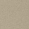 Oyster Colour Swatch