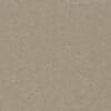Swatch for colour birch