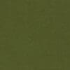Swatch for colour fern