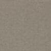 Swatch for colour pumice